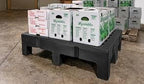 PolyMight Heavy-Duty Plastic Poly Dunnage Rack for Warehouses and Commercial Industrial Storage 48" x 22" x 12" with 2000 lb Capacity | For Wareshouse, Storage, and Merchandising