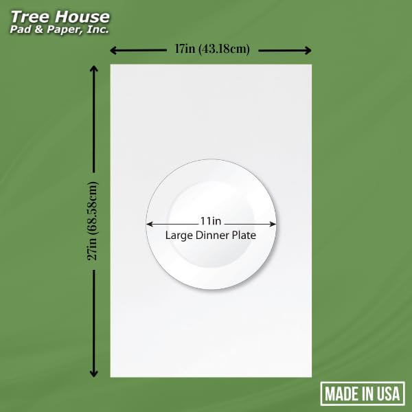 Packing Paper Sheets for Moving - 630 Sheets of Newsprint Paper - Must Have in Your Moving Supplies - 27" x 17" - Made in USA
