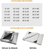 WHITEDUCK Super Heavy Duty Poly Tarp Cover 16 Mil & 10 Mil with Grommets and Reinforced Edges (Brown, White & Silver Black) (Silver Black- 10 Mil, 12' x 20')
