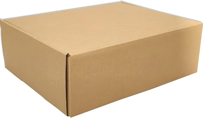 Brown Shipping Boxes for Small Business Pack of 25-10x8x2.7 inches Cardboard Corrugated Mailer Boxes for Shipping Packaging Craft Gifts Giving Products