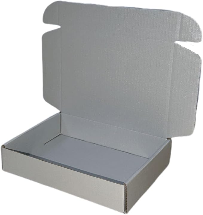 50 Pcs 10.6 x 6.5 x 2 inches Shipping Boxes for Small Business Cardboard Corrugated Mailer Boxes for Shipping Packaging Holidays Craft Gifts Giving Products (Silver, 10.6 x 6.5 x 2")