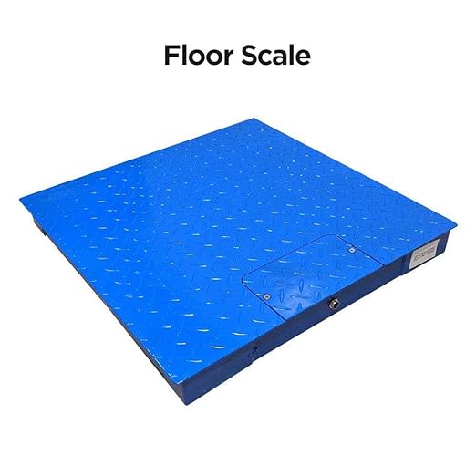 PEC Heavy-Duty Industrial Floor Scale with Carbon Steel Ramp, Warehouse Pallet Weighing Equipment, Accurate Digital Indicator Included (48” x 72”, Ramp4840)