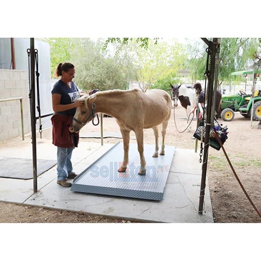 SellEton SL-929 Livestock & Cattle Alleyway Scale with The Size L-7’x36 | 5000 lbs x 1 lb