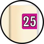 MINI 2025 Year Labels, Doctor Stuff 2025 Chart Stickers, Fuchsia Color Coded, Colwell Jewel Tone Style, USA Made Year Stickers for End Tab File Folders, 250/Pack, 1 Package, 1/2" x 1" - Small Labels