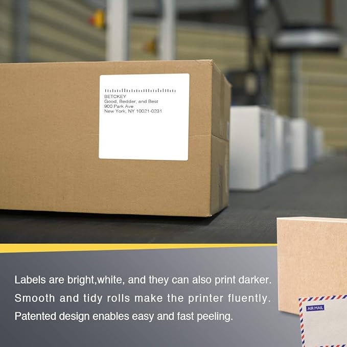 BETCKEY - 4" x 4" (102 mm x 102 mm) Shipping & Large Square Labels Compatible with Zebra & Rollo Label Printer,Premium Adhesive & Perforated [2 Rolls, 700 Labels]