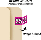MINI 2025 Year Labels, Doctor Stuff 2025 Chart Stickers, Fuchsia Color Coded, Colwell Jewel Tone Style, USA Made Year Stickers for End Tab File Folders, 250/Pack, 1 Package, 1/2" x 1" - Small Labels