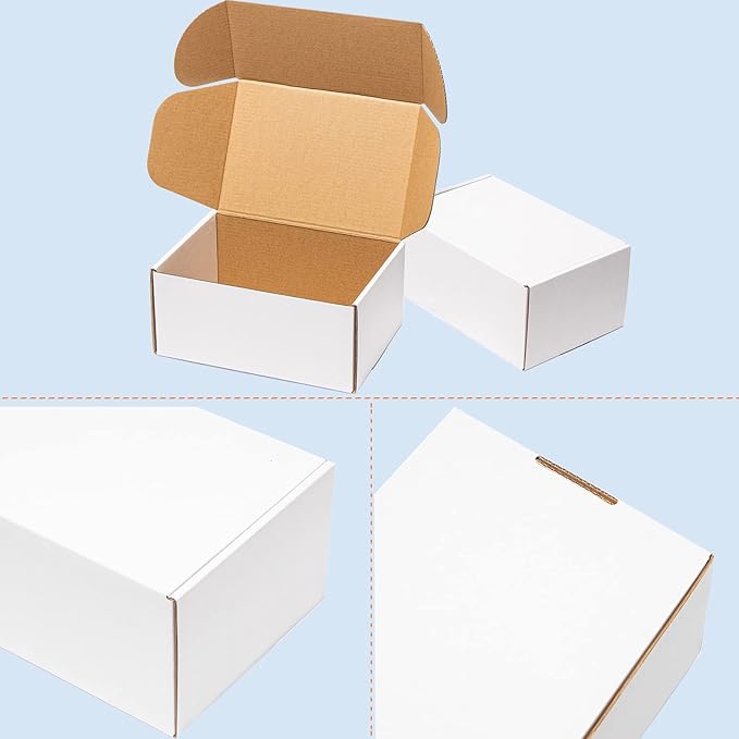 Shipping Boxes 12x9x4 Inches 25 Pack Corrugated Cardboard Mailing Boxes for Small Business - Medium White Literature Mailer Packaging Supplies