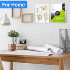 Ripeng 12 Pack Brochure Holder Wall Mount 6 x 9 Inch Clear Flyer Holder Magazine Pamphlet Display Stand Acrylic Wall Organizer Plastic Wall File Holder for Literature Mail Paper Document Rack Display