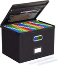 Oterri 1 Pack Large File Organizer Boxes with Lids, File Box with Mesh Pockets, Document Organizer Box for Legal/Letter Size Folders, Zippers Important Document Organizer (Black, Without Folders)
