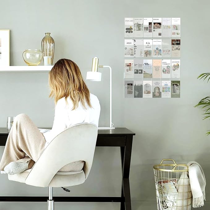 Acrylic Brochure Pamphlet Holder, 24 Clear Wall Mount Display Holders, Trifold Flyer Rack, Literature Storage Rack for Home, Offices, Waiting Room