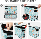 BALEINE File Organizer Box with Lid, Collapsible File Folder Organizer with Plastic Slide, Hanging File Folder Box for Office Document Storage (2 Pack, Spring Stroll, S)