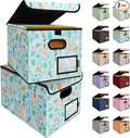 BALEINE File Organizer Box with Lid, Collapsible File Folder Organizer with Plastic Slide, Hanging File Folder Box for Office Document Storage (2 Pack, Spring Stroll)