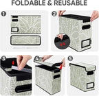 BALEINE File Organizer Box with Lid, Collapsible File Folder Organizer with Plastic Slide, Hanging File Folder Box for Office Document Storage (2 Pack, Antique Foliage, S)