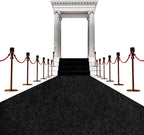 450 GSM Extra Thick Waterproof Black Carpet Runner for Events Decorations, 3X30 Ft Not Slip Black Runner Aisle Runway Rug for Wedding, Party, Banquet, Activity Entrance and Special Events Decorations