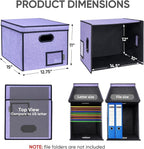 BALEINE File Organizer Box with Lid, Collapsible File Folder Organizer with Plastic Slide, Hanging File Folder Box for Office Document Storage (Tab Friendly, 1 Pack, Purple)