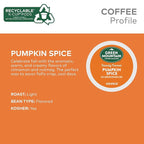 Green Mountain Coffee Roasters Seasonal Selections Pumpkin Spice 12 Count