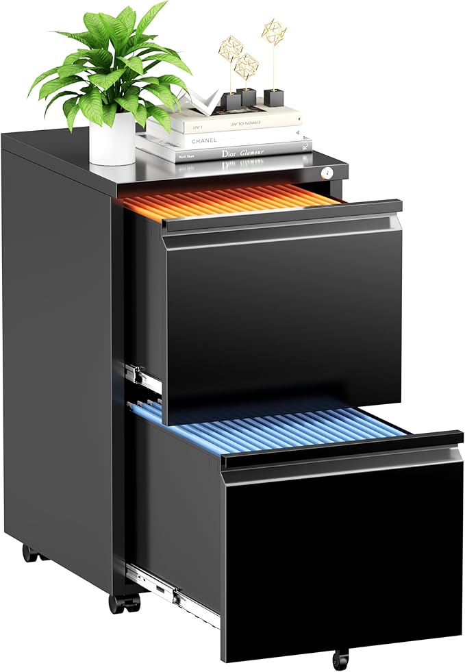 INTERGREAT 2 Drawer File Cabinet, Metal Filling Cabinet with Lock, Locking Office Mobile Cabinets with Wheels for Legal/Letter Size, Under Desk, Black
