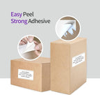 AveneMark 12 Rolls 3” X 2” Direct Thermal Labels for Barcodes, Address Labels Perforated & Compatible with Rollo & Zebra Desktop Label Printers (700/Roll)