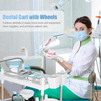 Mobile Utility Cart with Wheels Professional Medical Trolley Cart 220 Lbs Load Plastic and Stainless Steel Esthetician Storage Cart with Basins and Kegs for Beauty Salon Hospital Clinic Home