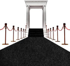 450 GSM Extra Thick Waterproof Black Carpet Runner for Events Decorations, 3X15 Ft Not Slip Red Runner Aisle Runway Rug for Wedding, Party, Banquet, Activity Entrance and Special Events Decorations