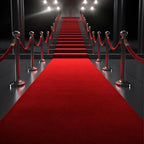 450 GSM Extra Thick Waterproof Red Carpet Runner for Events Decorations, 3X20 Ft Not Slip Red Runner Aisle Runway Rug for Wedding, Party, Banquet, Activity Entrance and Special Events Decorations