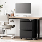 2 Drawer File Cabinet，Mobile Filing Cabinet with Lock and Wheels，Un-Assembled Metal Under Desk File Cabinets for A4/Letter/Legal Size（Black