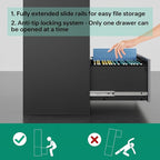 Letaya File Cabinet with Lock-Lateral 2 Drawer Metal Filing Cabinets-Organization Storage Cabinets for Home Office-Hanging Letter/Legal/F4/A4 Size (2 Drawer-Grey Black)