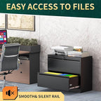 2 Drawer Lateral File Cabinet with Lock, Metal File Cabinets for Home Office, Steel Heavy-Duty Filing Storage Cabinet for Letters/Legal/A4 (Require Assembly, Black)