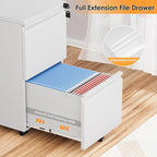 INTERGREAT 2 Drawer File Cabinet, Metal Filling Organizer with Lock, Locking Office Mobile Cabinet with Wheels for Legal/Letter Size, Under Desk, White