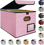 BALEINE File Organizer Box with Lid, Collapsible File Folder Organizer with Plastic Slide, Hanging File Folder Box for Office Document Storage (1 Pack, Pink)