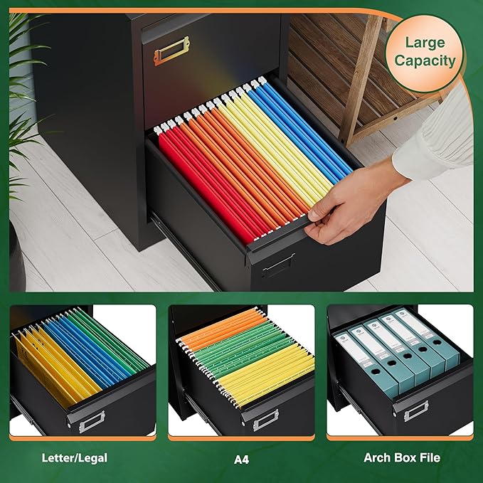 Letaya 2 Drawer File Cabinet with Lock,Metal Vertical Filing Cabinets for Home Office- Storage A4/F4/Letter/Legal -Assembly Required (Black)