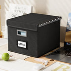 Huolewa File Organizer Box with Lid, Collapsible File Folder Organizer for Office Document Storage, Filing Box with Plastic Slide for Letter Size Hanging File Folders(1 Pack, Black)
