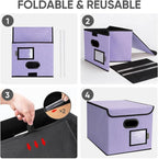BALEINE File Organizer Box with Lid, Collapsible File Folder Organizer with Plastic Slide, Hanging File Folder Box for Office Document Storage (2 Pack, Purple)