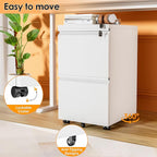 INTERGREAT 2 Drawer File Cabinet, Metal Filling Organizer with Lock, Locking Office Mobile Cabinet with Wheels for Legal/Letter Size, Under Desk, White