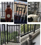 Plastic Wire Mesh Fence, Fencing Chicken Wire Fence with 1.8cm/0.7in Mesh Holes, for Pet Fencing Garden Balcony Grass Protection Farm Crafts(Size:Mesh 0.7in-3.3ft Wx65ft L,Color:Green)