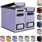 BALEINE File Organizer Box with Lid, Collapsible File Folder Organizer with Plastic Slide, Hanging File Folder Box for Office Document Storage (2 Pack, Purple, S)