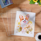 AKONEGE 5PCS 11" x 14" Rigid Print Protectors Hard Plastic Sheet Page Protectors Heavy Duty Top Loading Menu Covers Poster Sleeves Clear Plastic Paper Sleeves for Magazine Prints Photo Document