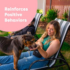 Pupford Freeze Dried Training Treats for Dogs & Puppies, 1400+ Two Ingredient Bites (Salmon, 4 oz, 3 Pack)