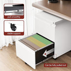 2 Drawer File Cabinet，Mobile Filing Cabinet with Lock and Wheels，Fully Assembled Metal Under Desk File Cabinets for A4/Letter/Legal Size（White
