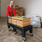 PolyMight Mobile Heavy-Duty Poly Dunnage Rack with Caster Wheels for Warehouses and Commercial Industrial Storage 48" x 22" x 16" with 900 lb Capacity