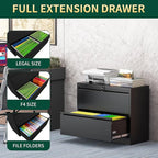 2 Drawer Lateral File Cabinet with Lock, Metal File Cabinets for Home Office, Steel Heavy-Duty Filing Storage Cabinet for Letters/Legal/A4 (Require Assembly, Black)