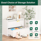 Superday Metal Lateral File Cabinet, 2 Drawer File Cabinet, White Filing Cabinets with Lock, Filing Cabinets for Home Office/Legal/Letter/A4, Home Office Furniture for Hanging File