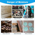 Large Desiccant Packs, 1000 Gram 4 Packs Container Desiccant, Silica Gel Car Dehumidifier by Reusable, Large Moisture Absorbers for Electric Tool, Basement, 3D Filaments and Safes