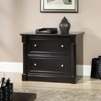 Sauder Palladia 2 Drawer File Cabinet, Lateral Filing Cabinets for Home Office, Hanging File Folders Organizer, Interlocking Drawers, in Wind Oak Finish