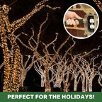 13 Amp Outdoor Extension Cord 20 ft, 16/3 SJTW 20ft Green Extension Cord 3 Prong, Weatherproof for Outdoor Lights, Landscaping & Lawn - US Veteran Owned