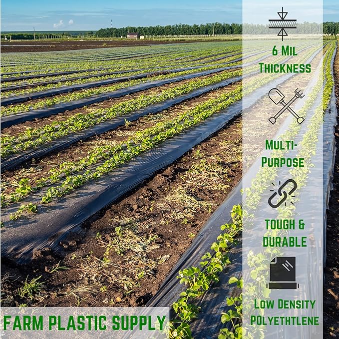 Farm Plastic Supply - Black Plastic Sheeting - 6 mil - (10' x 100') - Black Plastic Tarp, Polyethylene Vapor Barrier Plastic Sheeting, Black Painters Tarp, Roll of Heavy Duty Plastic